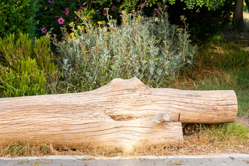 Fototapeta premium Tronco de madera en el parque