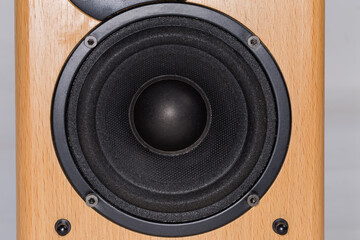 Woofer of a home loudspeaker in wooden housing close-up