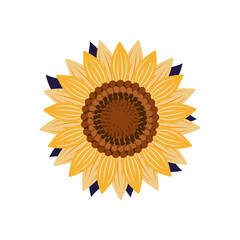 Elegant yellow sunflower. Single floral design element. Isolated on white background. Vector flat illustration