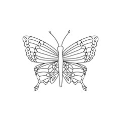 Butterfly vector black outline insect coloring page