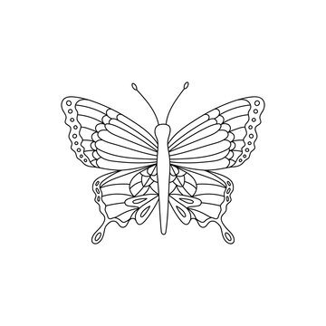 Butterfly vector black outline insect coloring page