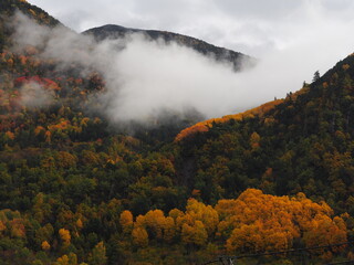 Torla, pueblo de montaña ubicado en Ordesa. España.