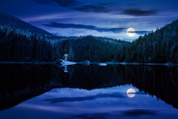 tranquil landscape with lake in summer at night. forest reflection in the calm water. scenic travel background. green outdoor nature scene in full moon light