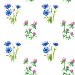 pattern of cornflowers and clover. Wild flowers background. Seamless pattern. Wild flowers background Watercolor.