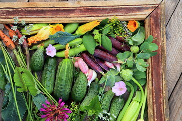 resh vegetables assorted framed by wooden frame close-up selective focus, organic vegetables