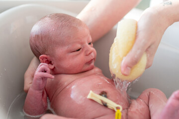 hands of a mother bathing her little newborn baby with a soft sponge and warm water, with the...