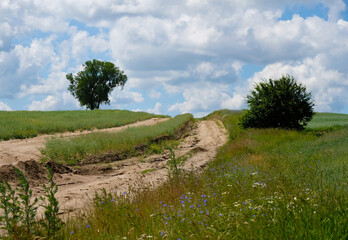 Fototapeta na wymiar Dirt road among agricultural fields in Ukraine. Erosion of clay soils. Soil leaching by rainfall.