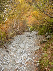 秋の登山道