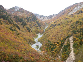 Fototapeta premium 秋の山