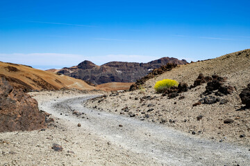 amazing landscape in El Teide national park
