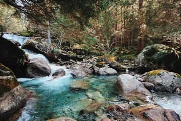 Foresta Val di Mello