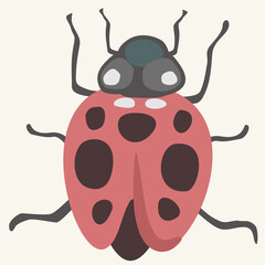 Vector ilustration of ladybird isolated on light background.