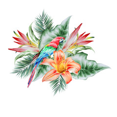 Illustration with tropical  parrot and flowers. Palm. Lily. Watercolor illustration. Hand drawn.