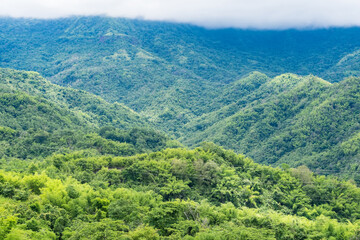 Landscape misty,Fantastic dreamy sunrise on the mountains, Mountain with mist cloud at Khao Kho Phetchabun Thailand