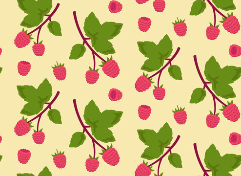 Seamless pattern with raspberries. Texture with berries in cartoon style.