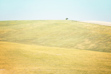 Obraz premium Agricultural landscape. Hilly agricultural area in spring uncultivated. 
