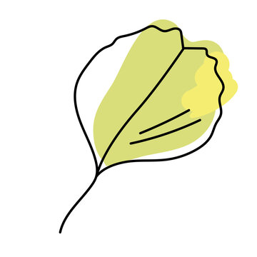 Autumn alder tree leaves isolated on white background. Green leaves in linear art with the addition of a  yellow  spot. Vector illustration.