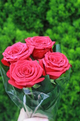 holding a bouquet of red roses