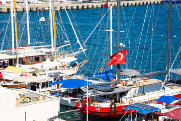 Flag of the Republic of Turkey against the sky