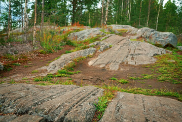 Nature Park in the north of Russia, in Karelia