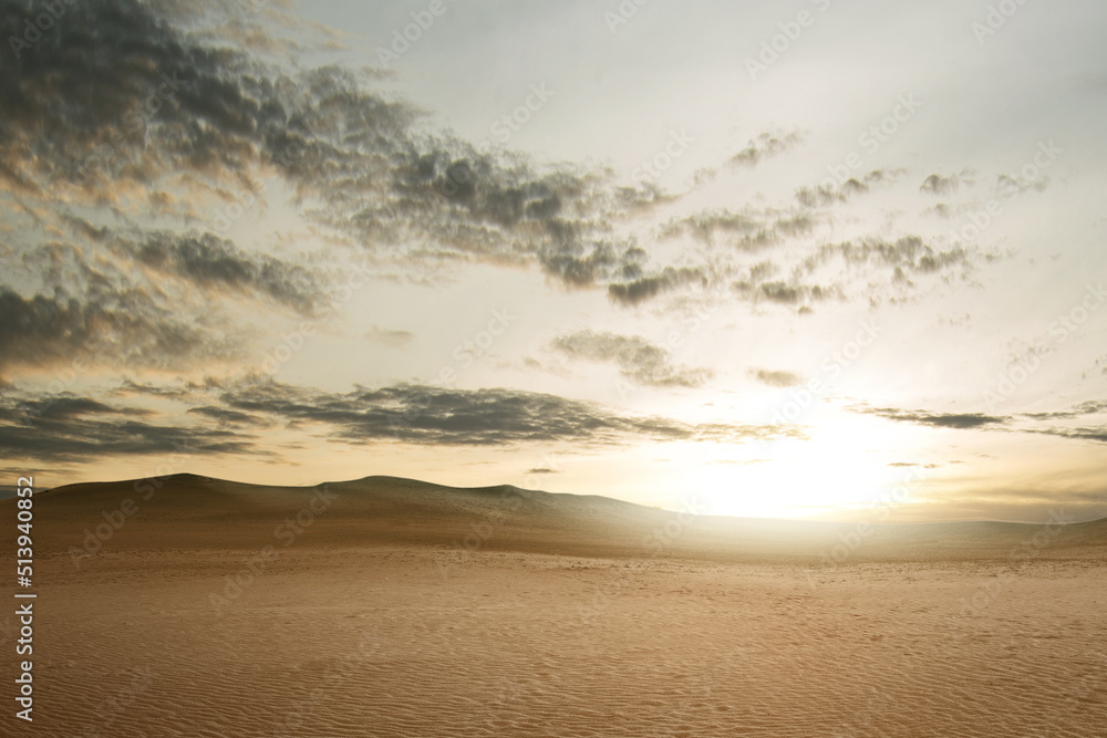 Poster views of sand dune