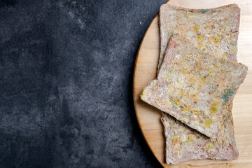 Moldy slice of bread on the board