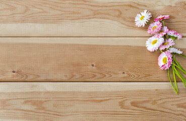 A bouquet of daisies on a light wooden background. Background for congratulations. Minimalism.