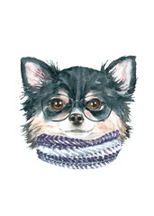 Watercolor dog breed  black long-haired chihuahua in scarf winter illustration, dog head hipster portrait, dog in funny hat, puppy fashion print, cute baby dog isolated on white background printable