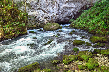 River source in nature. River Sana, Bosnia and Herzegovina.