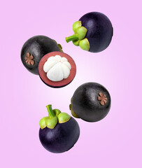 Mangosteen flying in the air isolated on purplebackground.