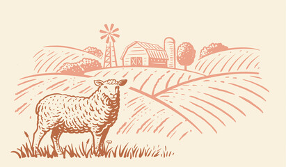 Engraving farm sheep. Farming landscape with barn