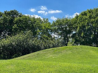 Green grass hill and trees in forest st summer sunny day.