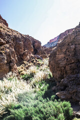 Termas de Puritana, Atacama