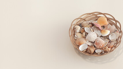 High angle, panoramic view of starfish and shells, isolated on white background, selective focus, space for text