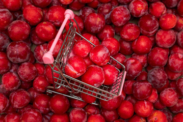 Red plum