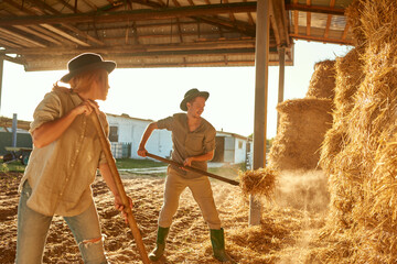 Woman look at her boyfriend collect hay in bale