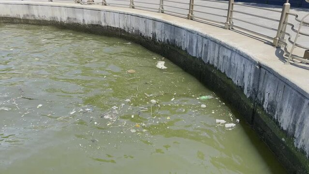 Floating river debris in urban area; polluted waterways a growing concern