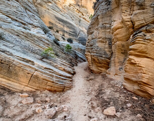 Lick Wash, a Canyon in the White Cliffs of  the Grand Staircase, Utah