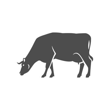 Cow grazing countryside agriculture lifestyle monochrome vintage icon vector illustration