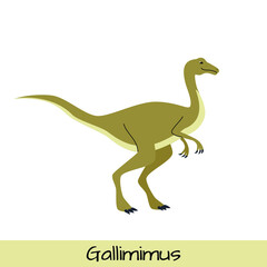 Obraz na płótnie Canvas Gallimimus dinosaur vector illustration isolated on white background.