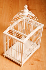 empty white Victorian birdcage