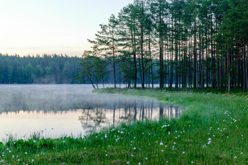 happy summer morning landscape by the lake, tree reflections in calm water, light fog on the water...