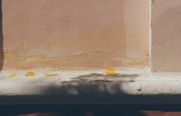 Old vintage background plastered wall, autumn leaves in sunlight