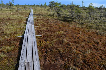 travelling outside of riga