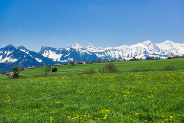 Fototapeta na wymiar 눈덮힌 산과 푸른 언덕의 스위스 풍경