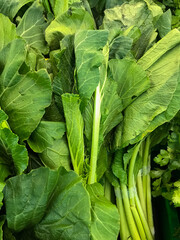 fresh green mustard in the market