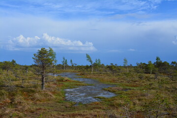 beautiful views outside of riga