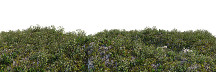Fototapeta na wymiar 3d render grass hill with white background