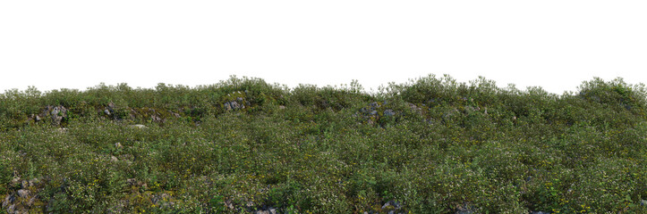 3d render grass hill with white background
