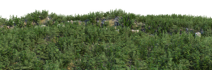 3d render grass hill with white background